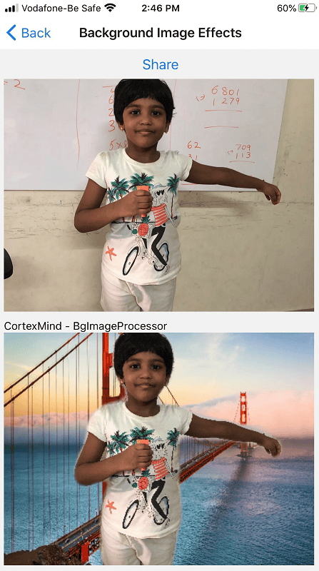 Raymish Background Image Effects using PyTorch